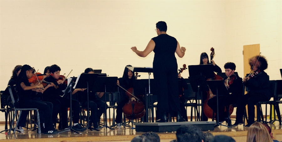 Orchestra in Winter Concert