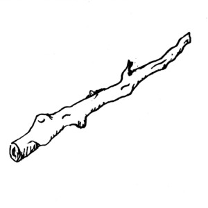 Stick
